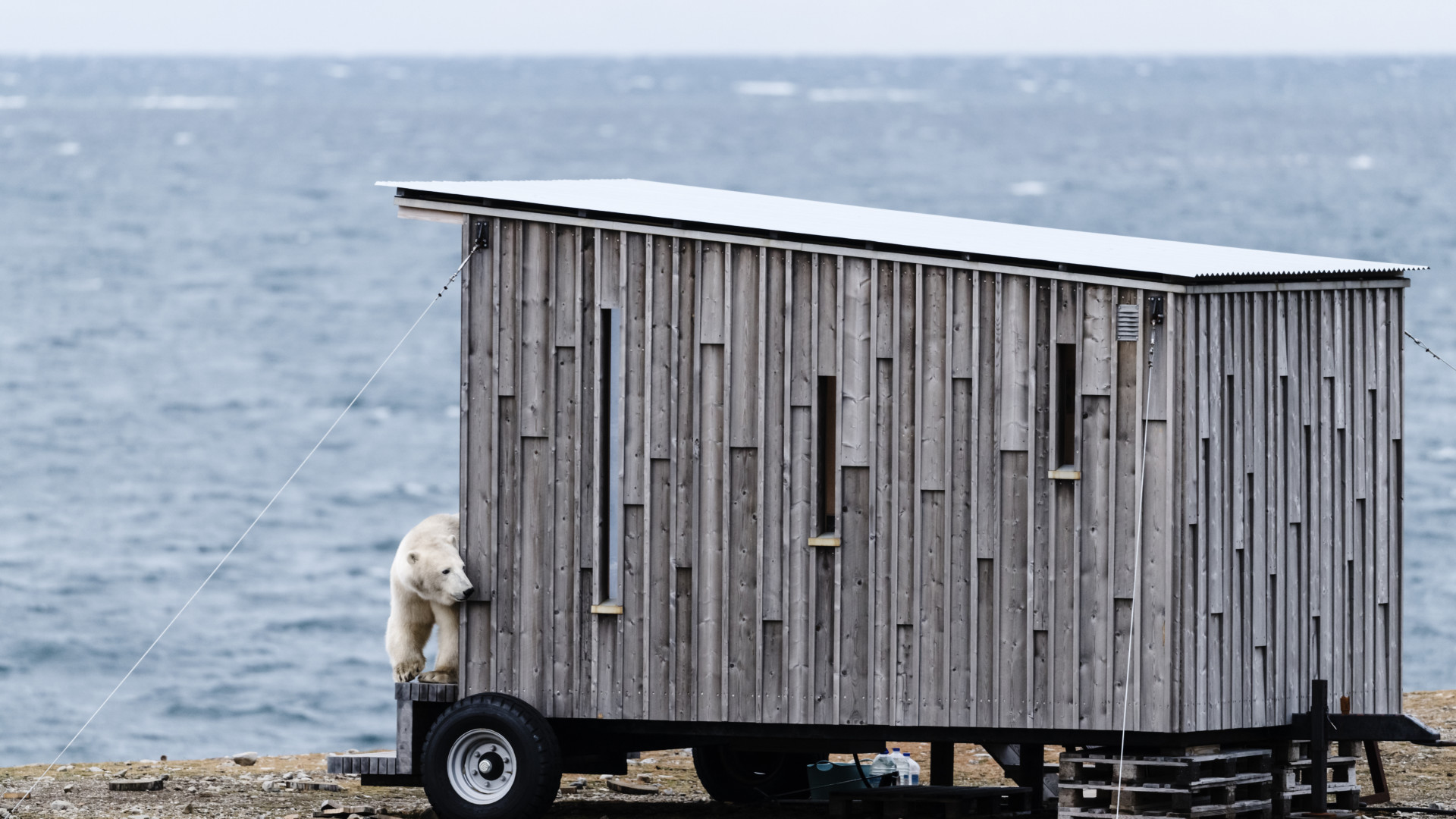 Step Into Arctic Heritage